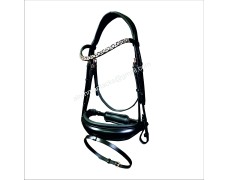 Leather Bridle